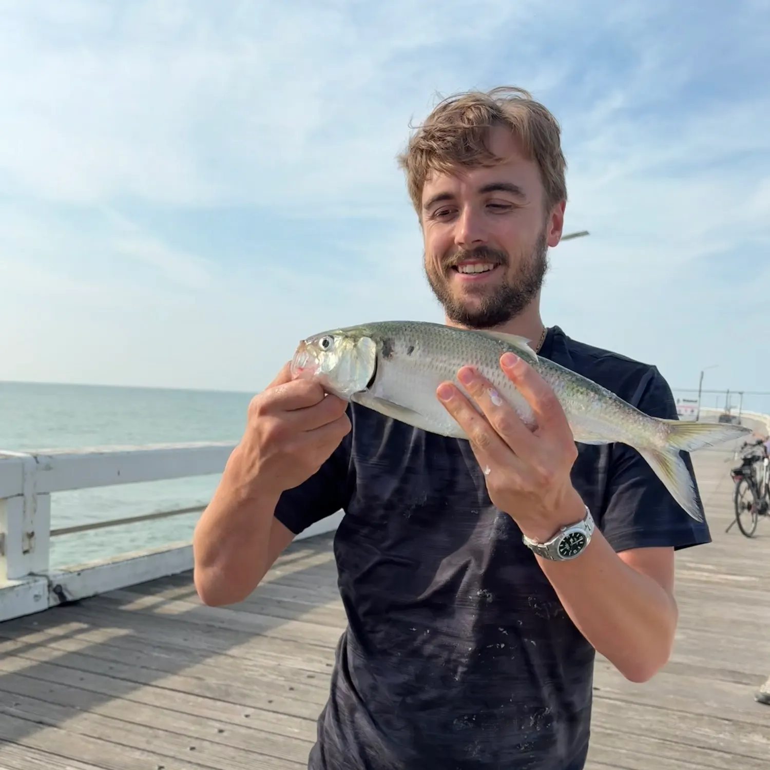 European seabass caught on Fishbrain