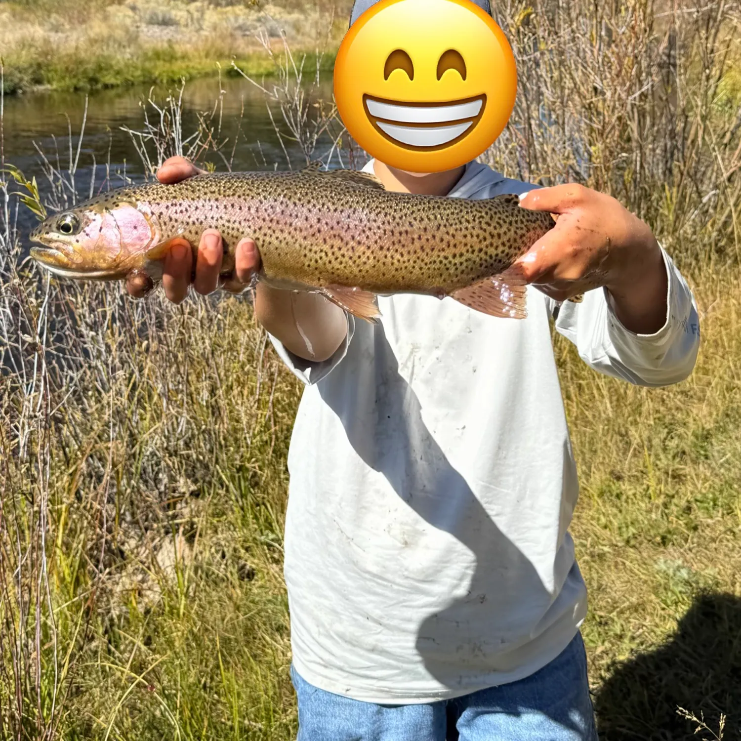 Rainbow trout caught on Fishbrain
