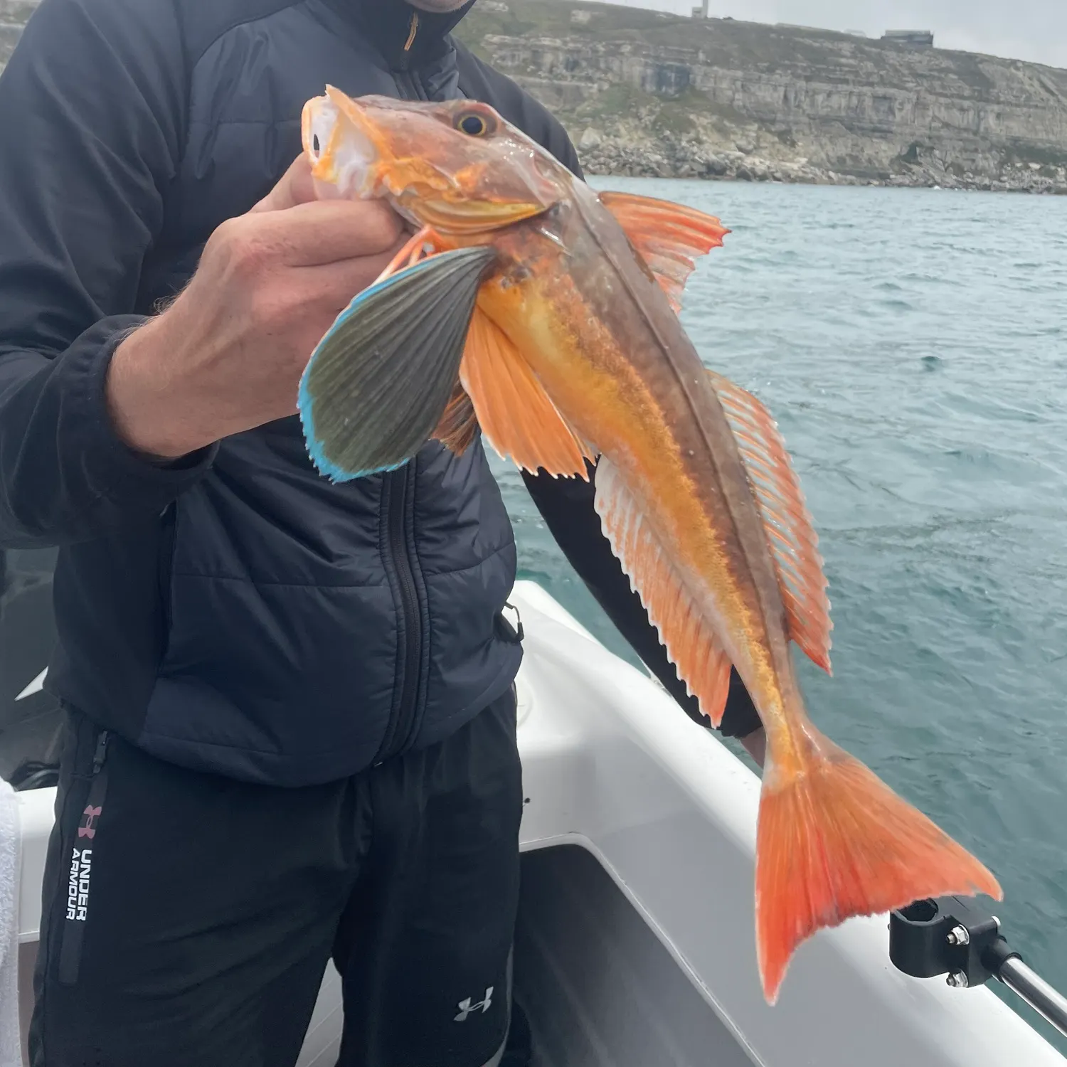 The most recent Red gurnard catches on Fishbrain