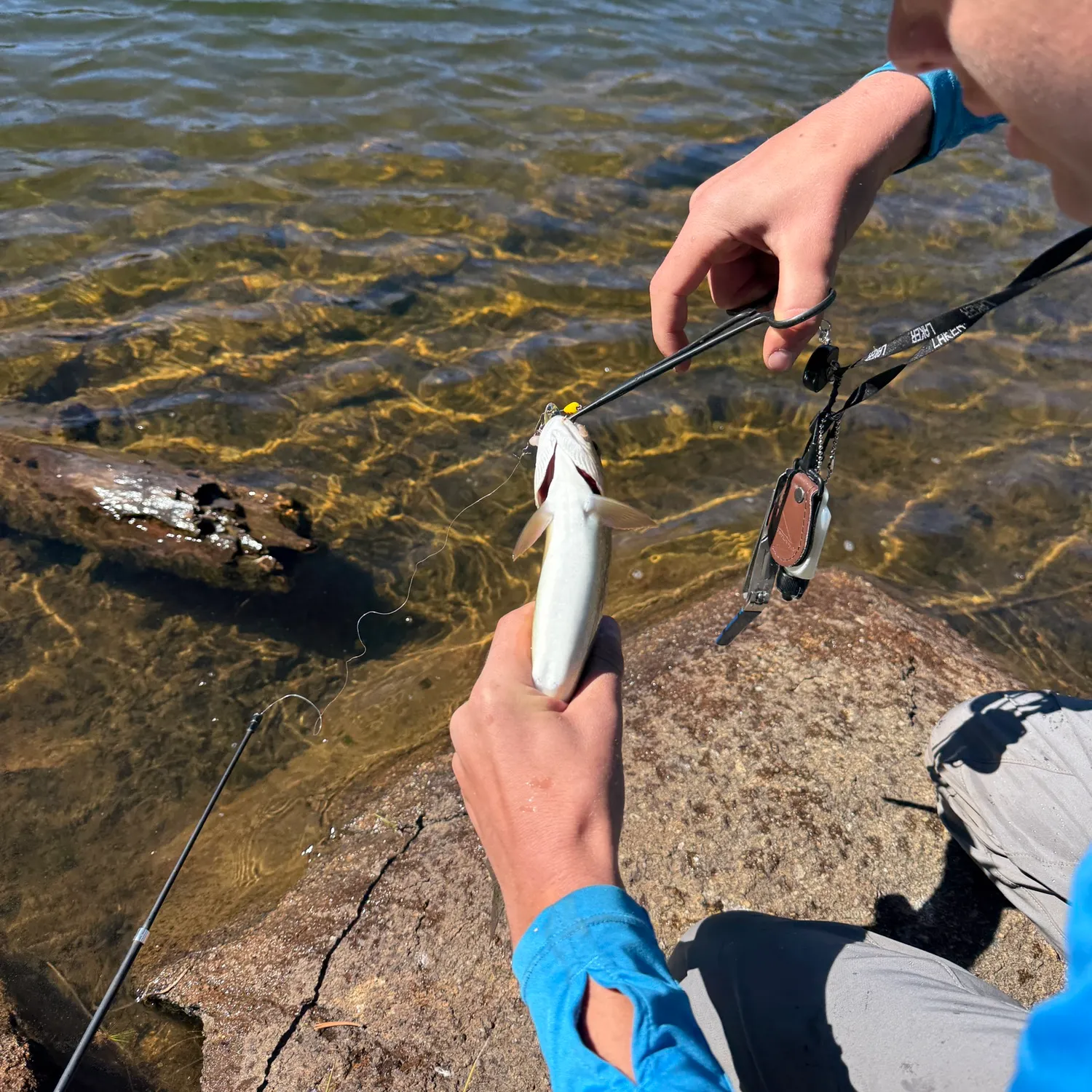 Brook trout caught on Fishbrain
