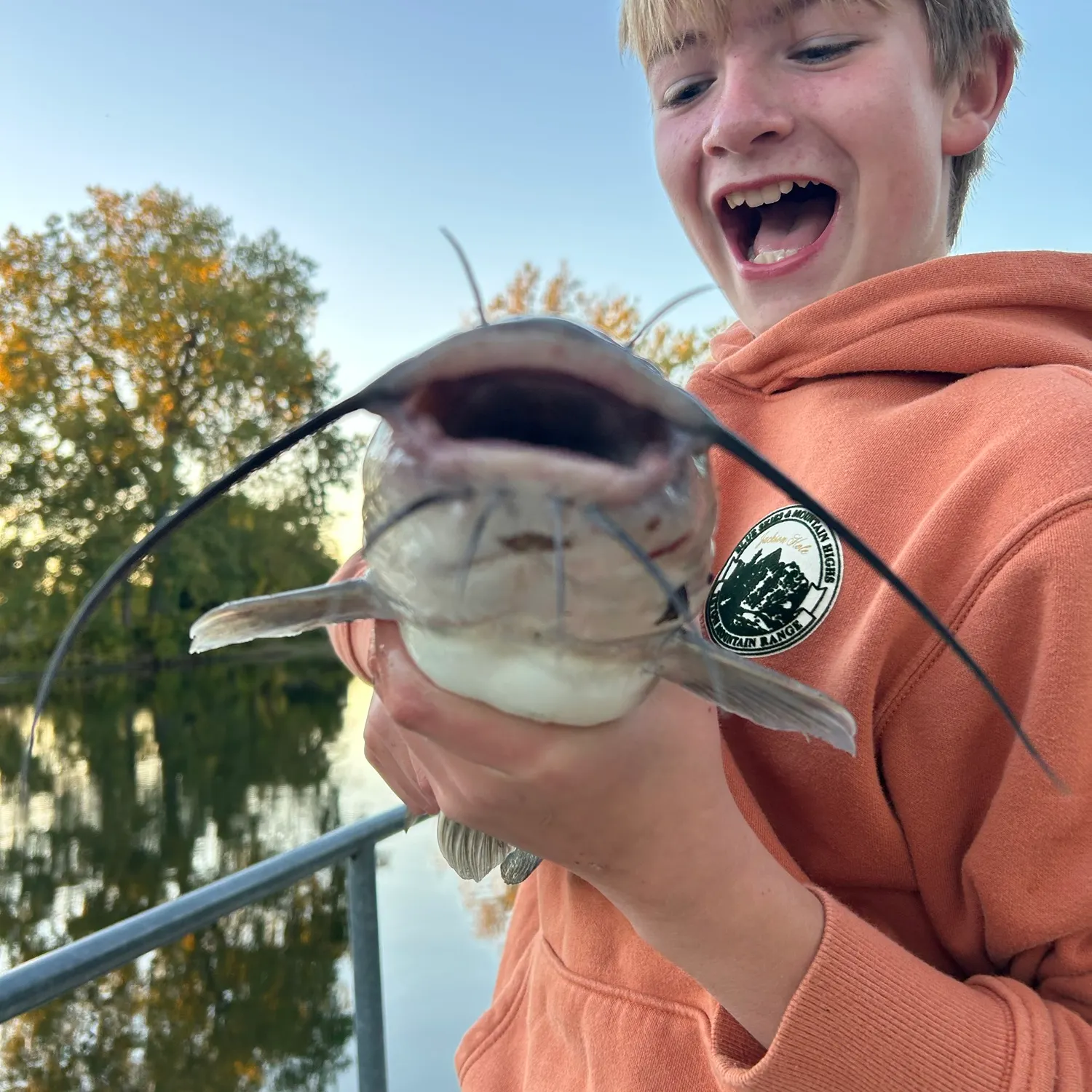 Channel catfish caught on Fishbrain