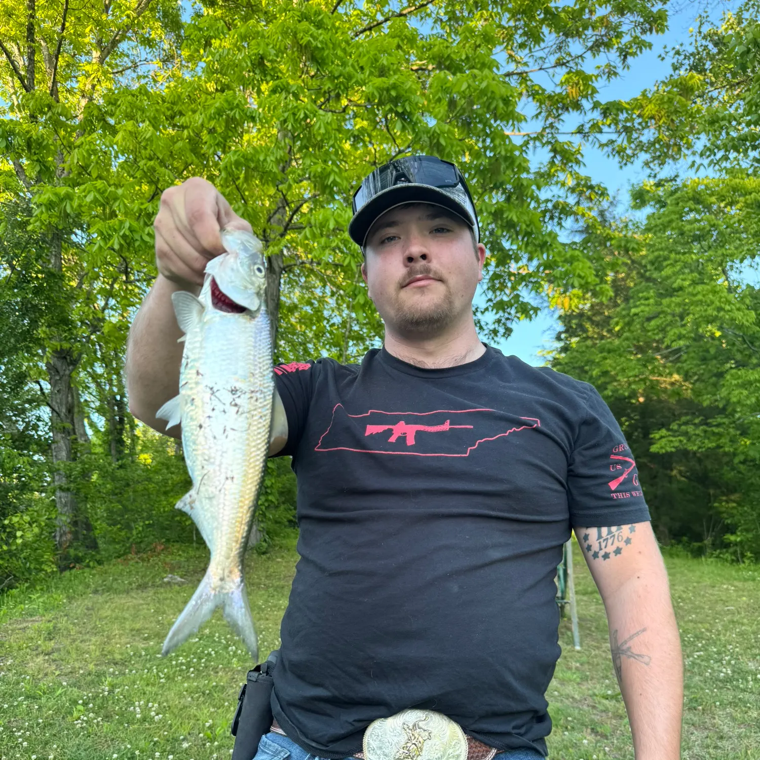 The most recent Skipjack herring catches on Fishbrain