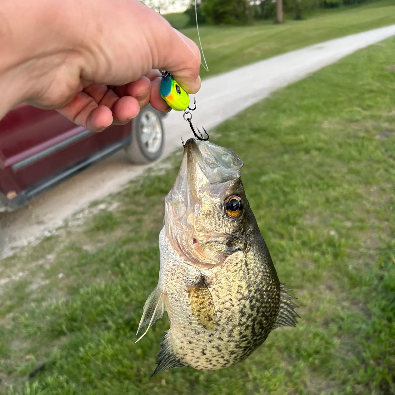 catch