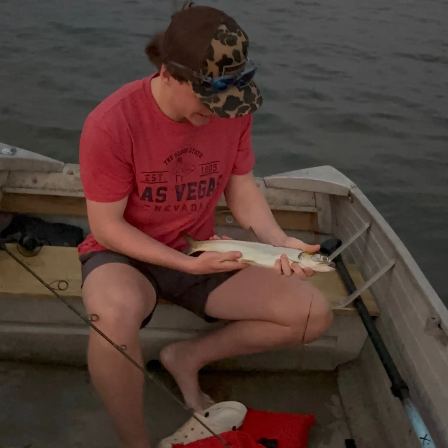 Ladyfish caught on Fishbrain