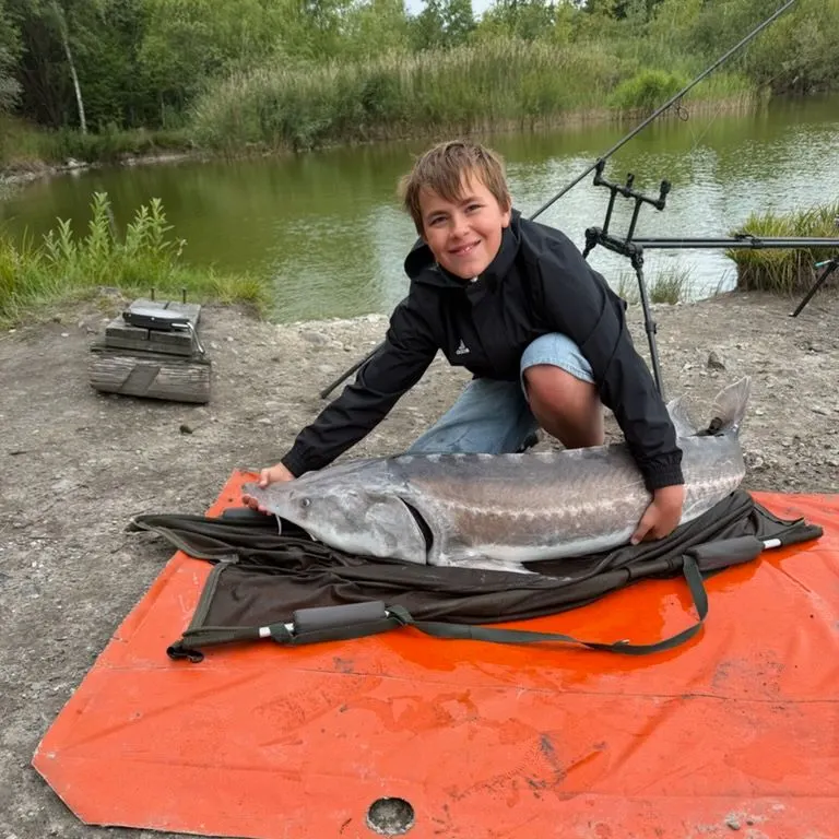 The most recent Russian sturgeon catches on Fishbrain