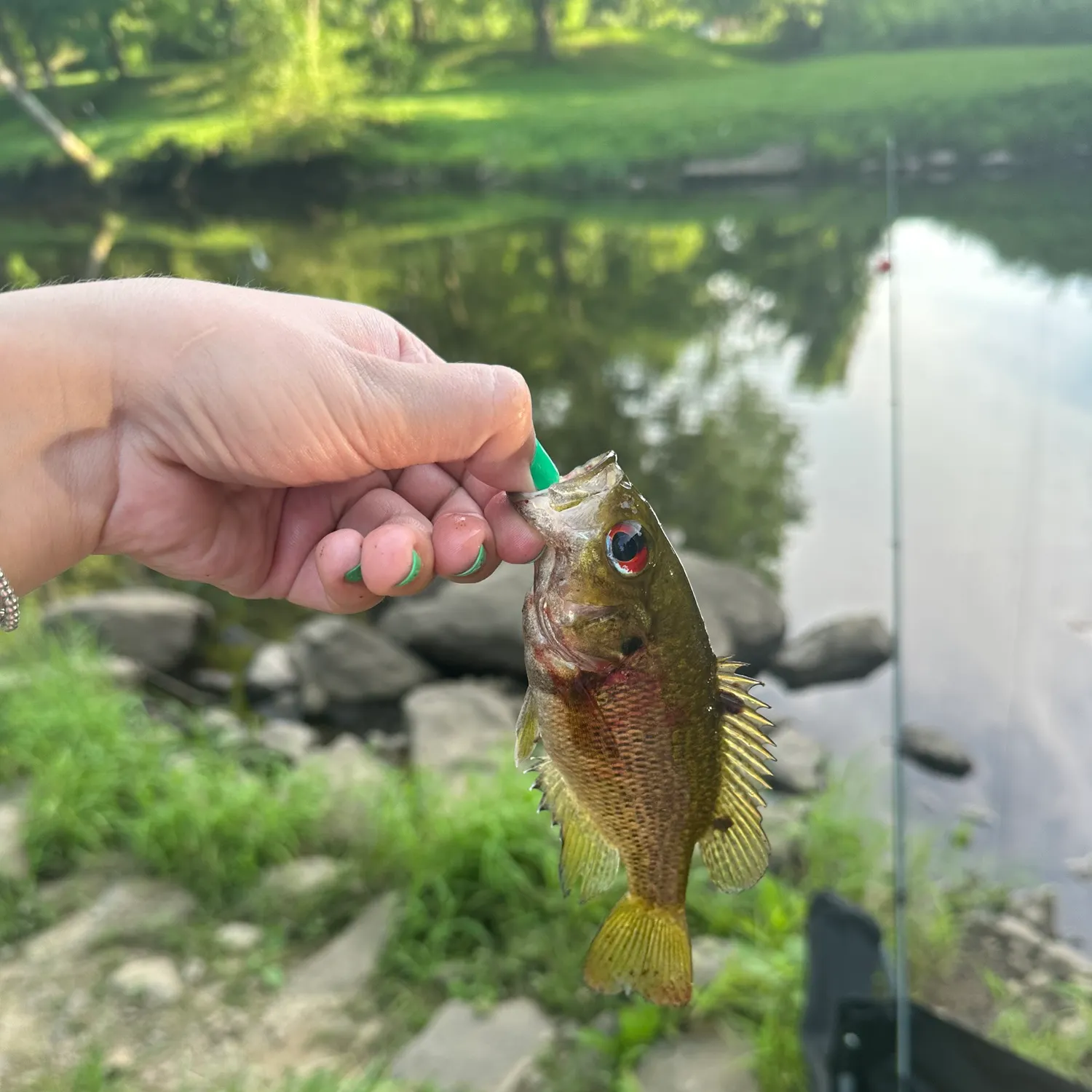 catch