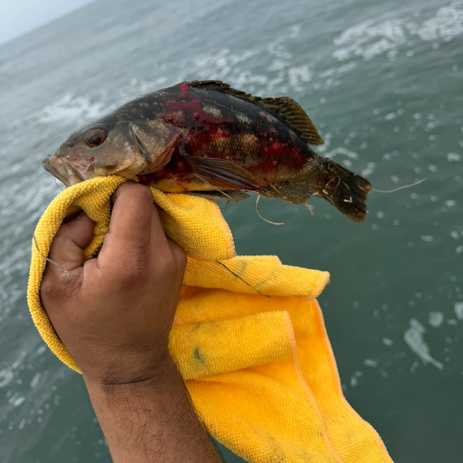 catch