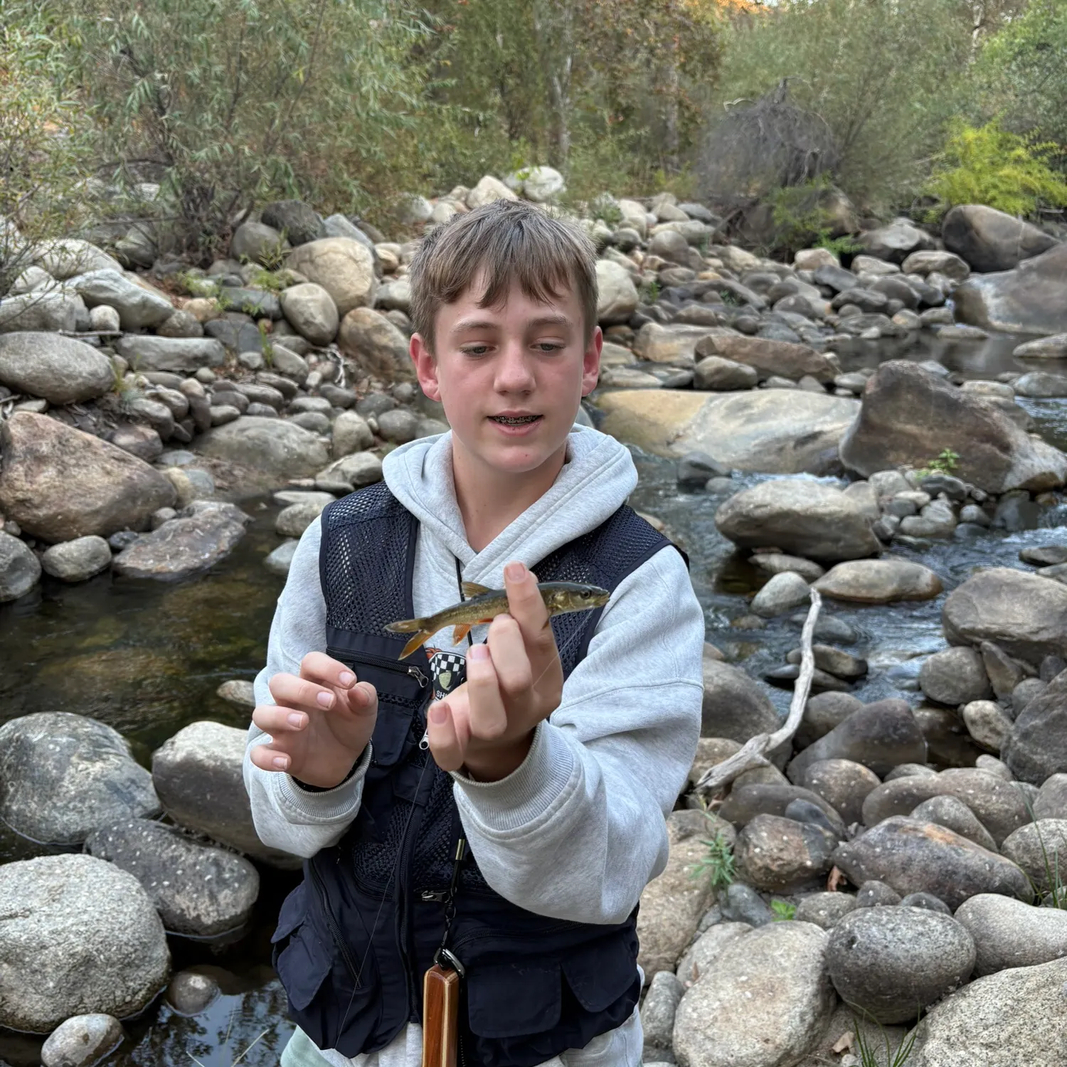 Brook trout caught on Fishbrain