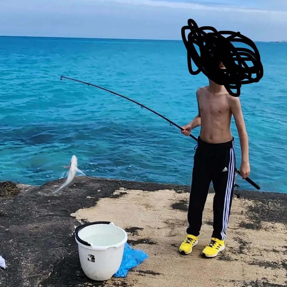 The most recent Ocean whitefish catches on Fishbrain