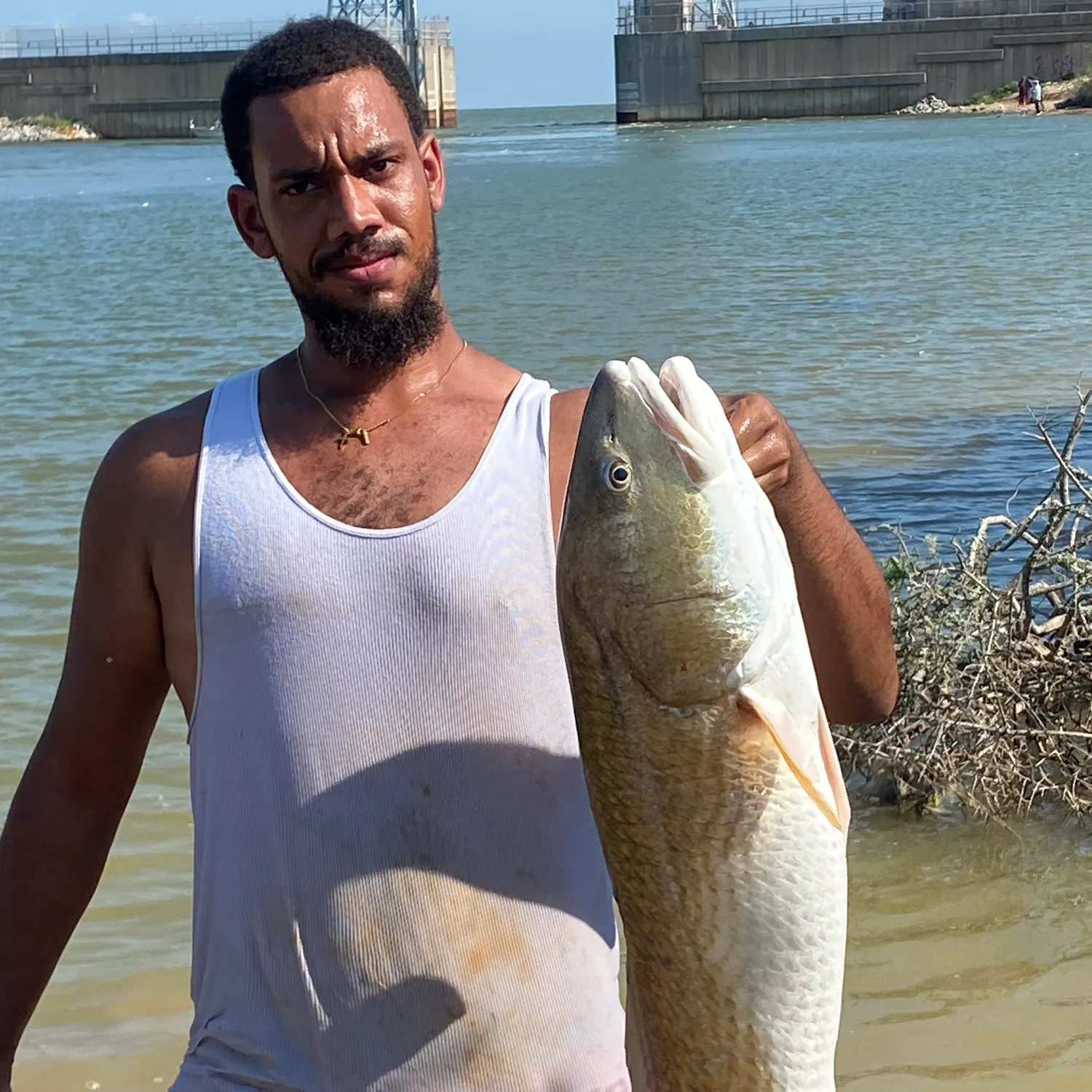 Red drum caught on Fishbrain