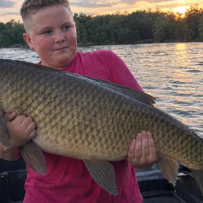 Grass carp caught on Fishbrain