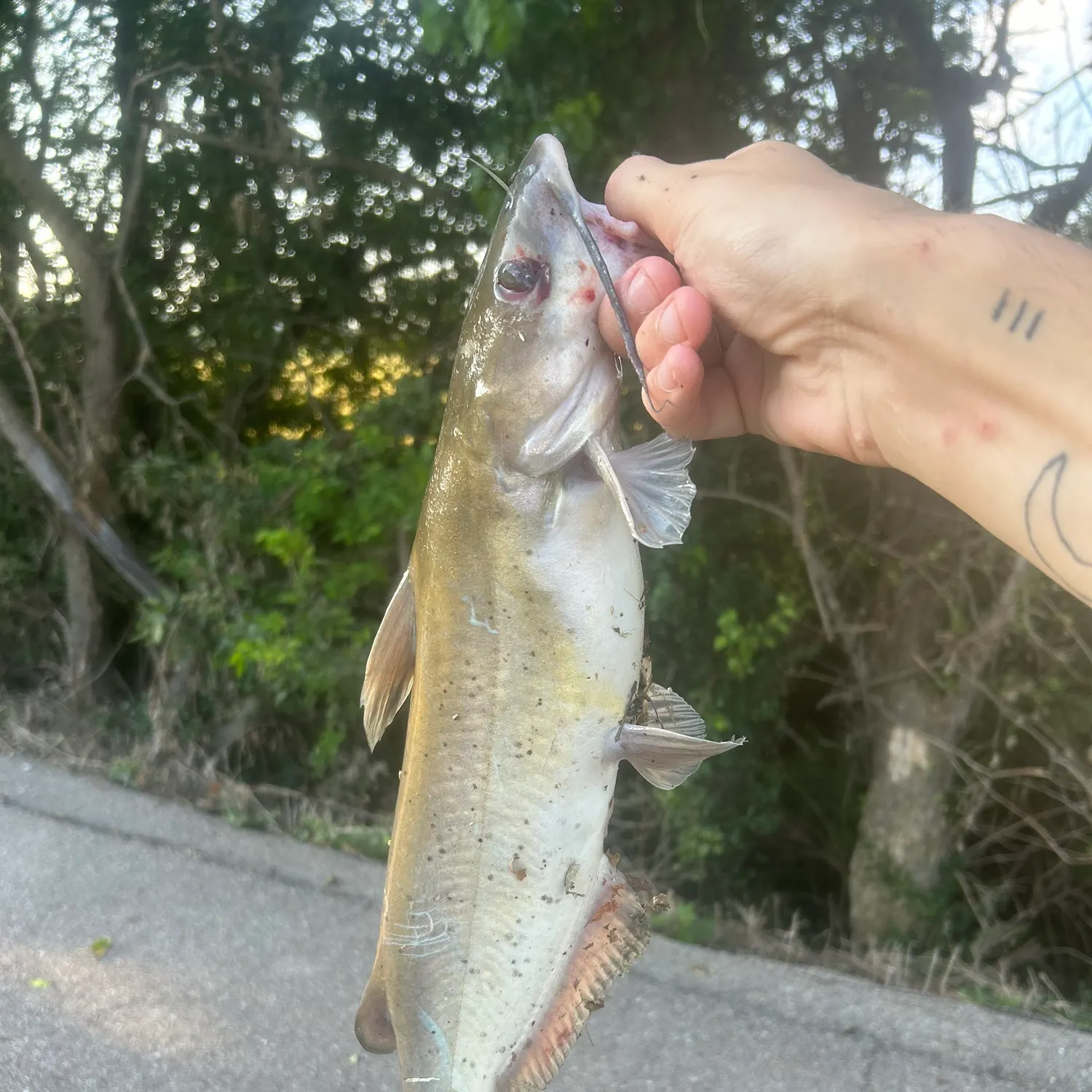 catch
