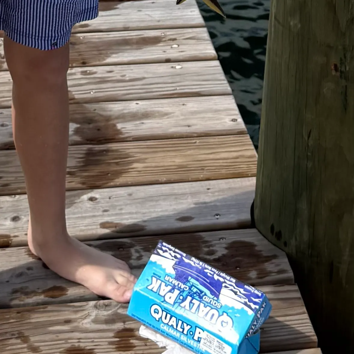 The most recent White grunt catches on Fishbrain