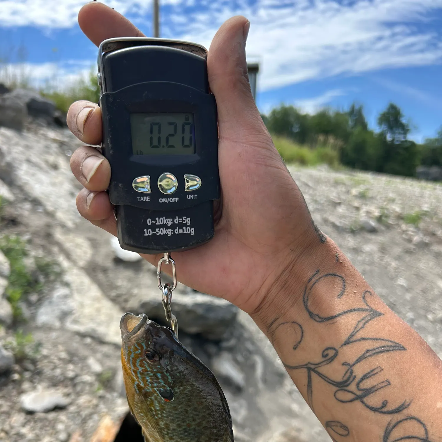 recently logged catches