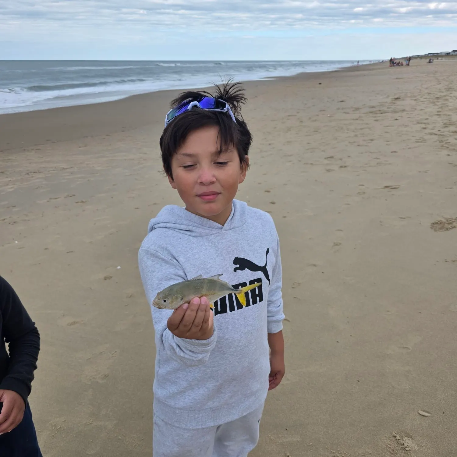 The most recent Golden trevally catches on Fishbrain