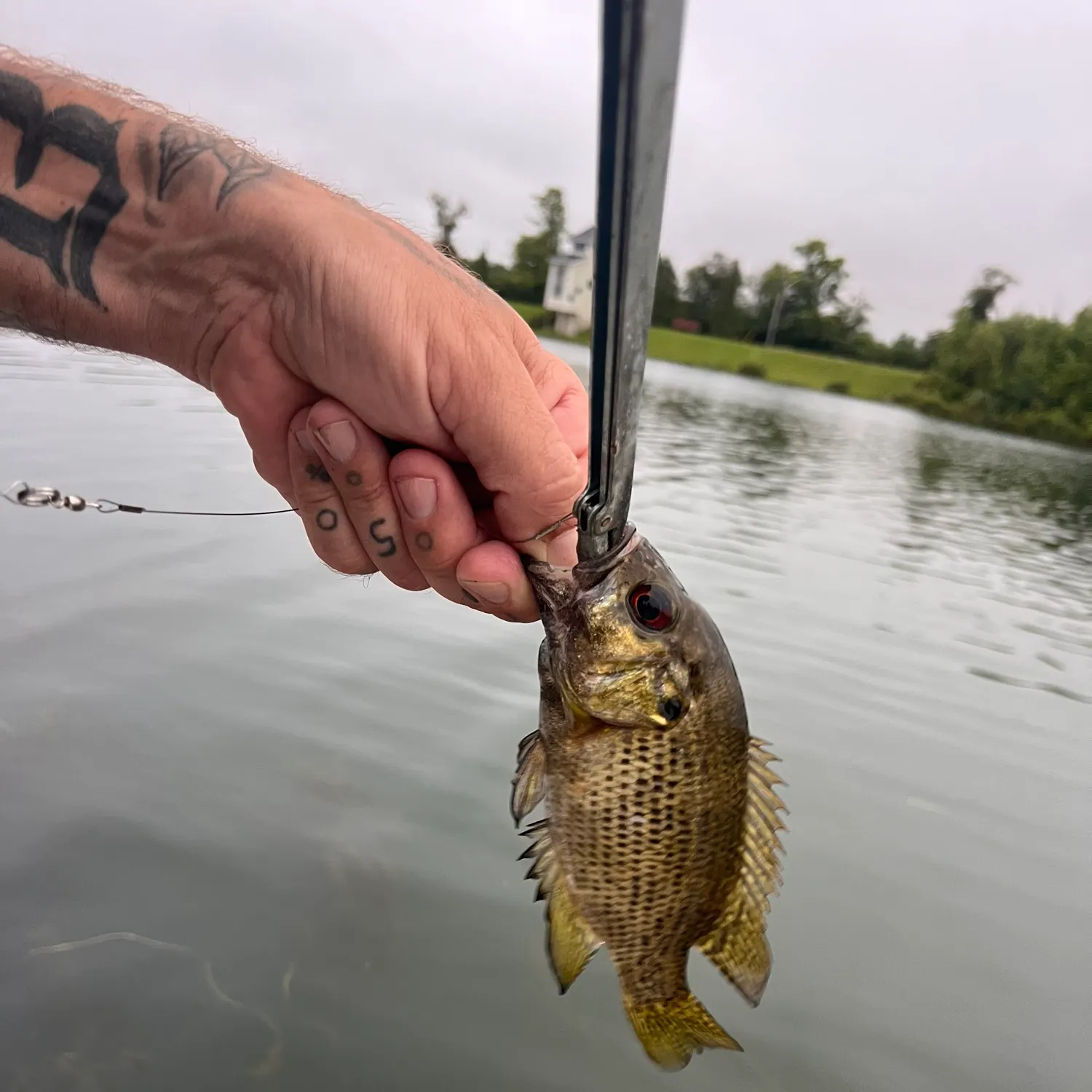 catch