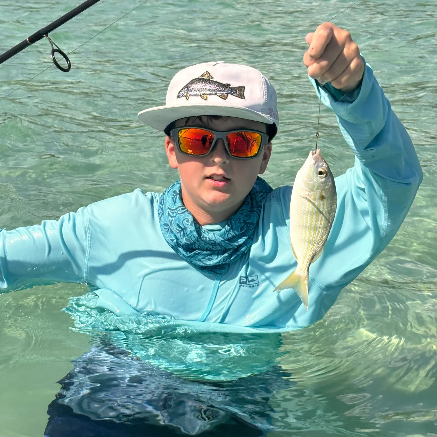 The most recent Lane snapper catches on Fishbrain