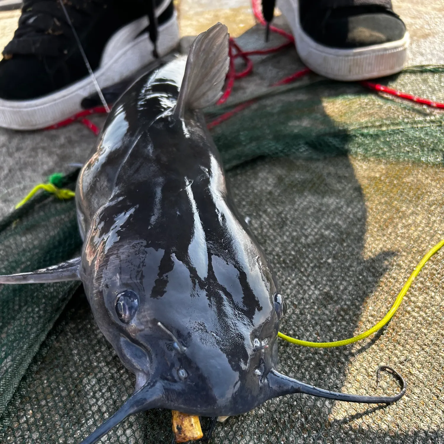 catch