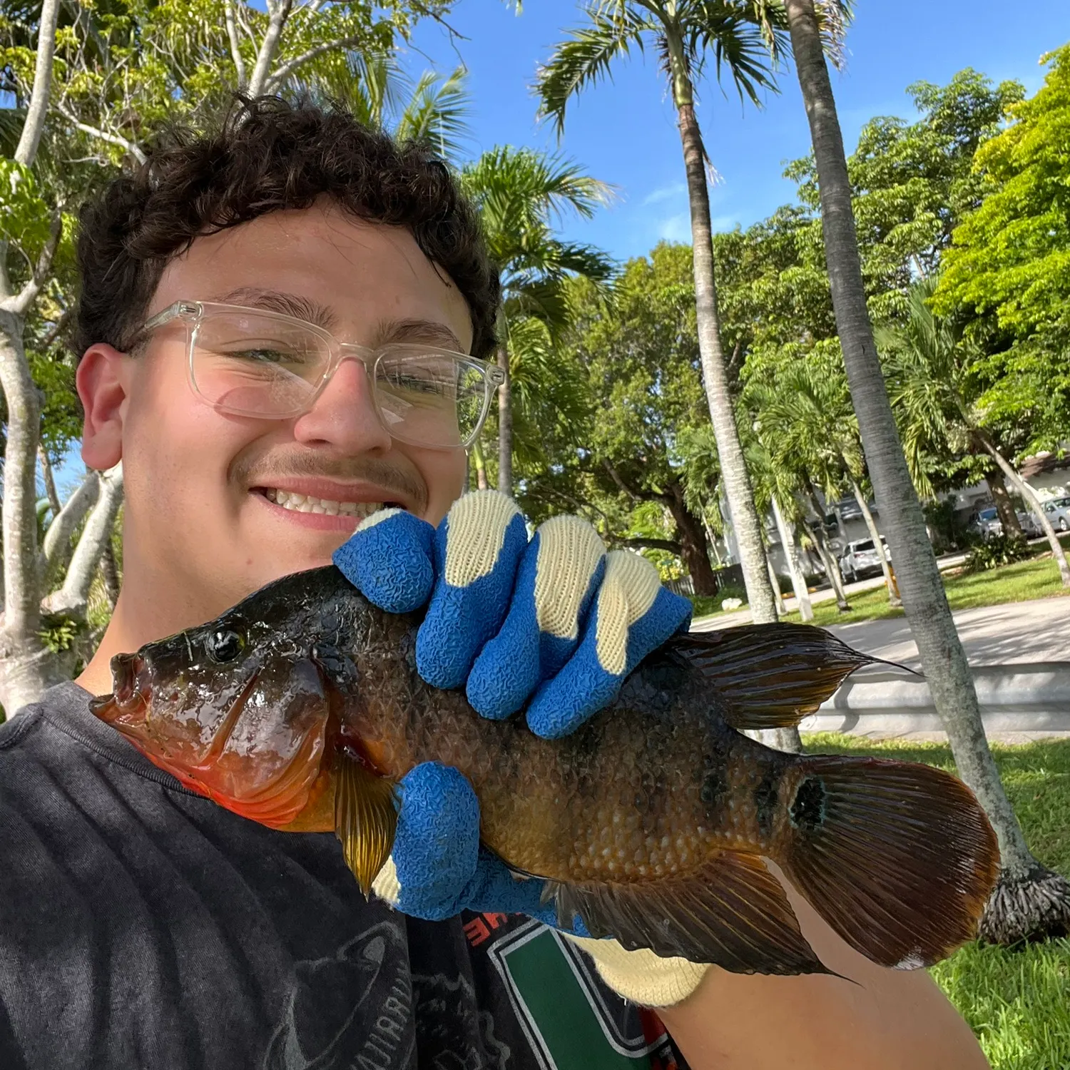 Mayan cichlid caught on Fishbrain