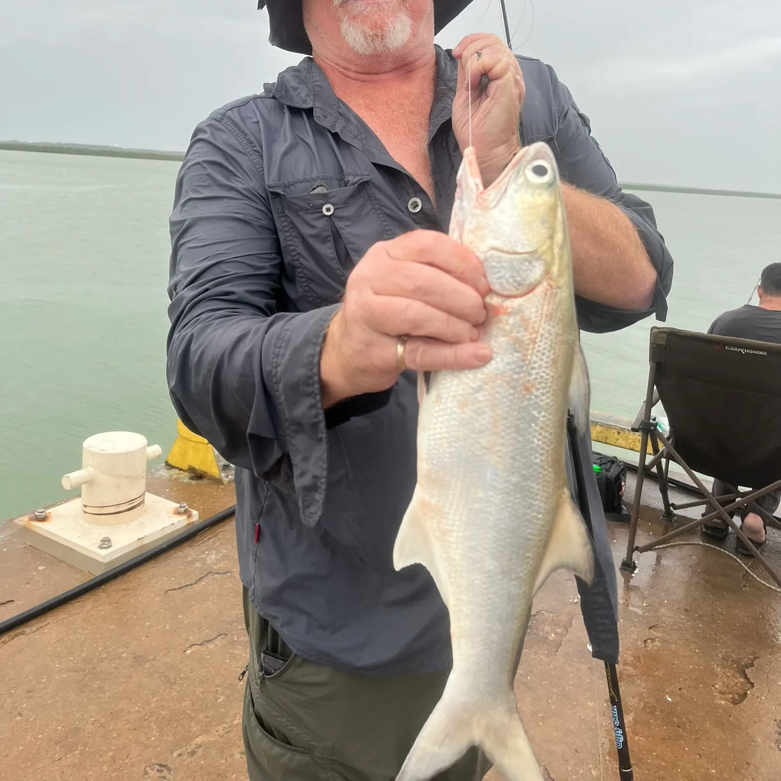 The most recent King threadfin catches on Fishbrain