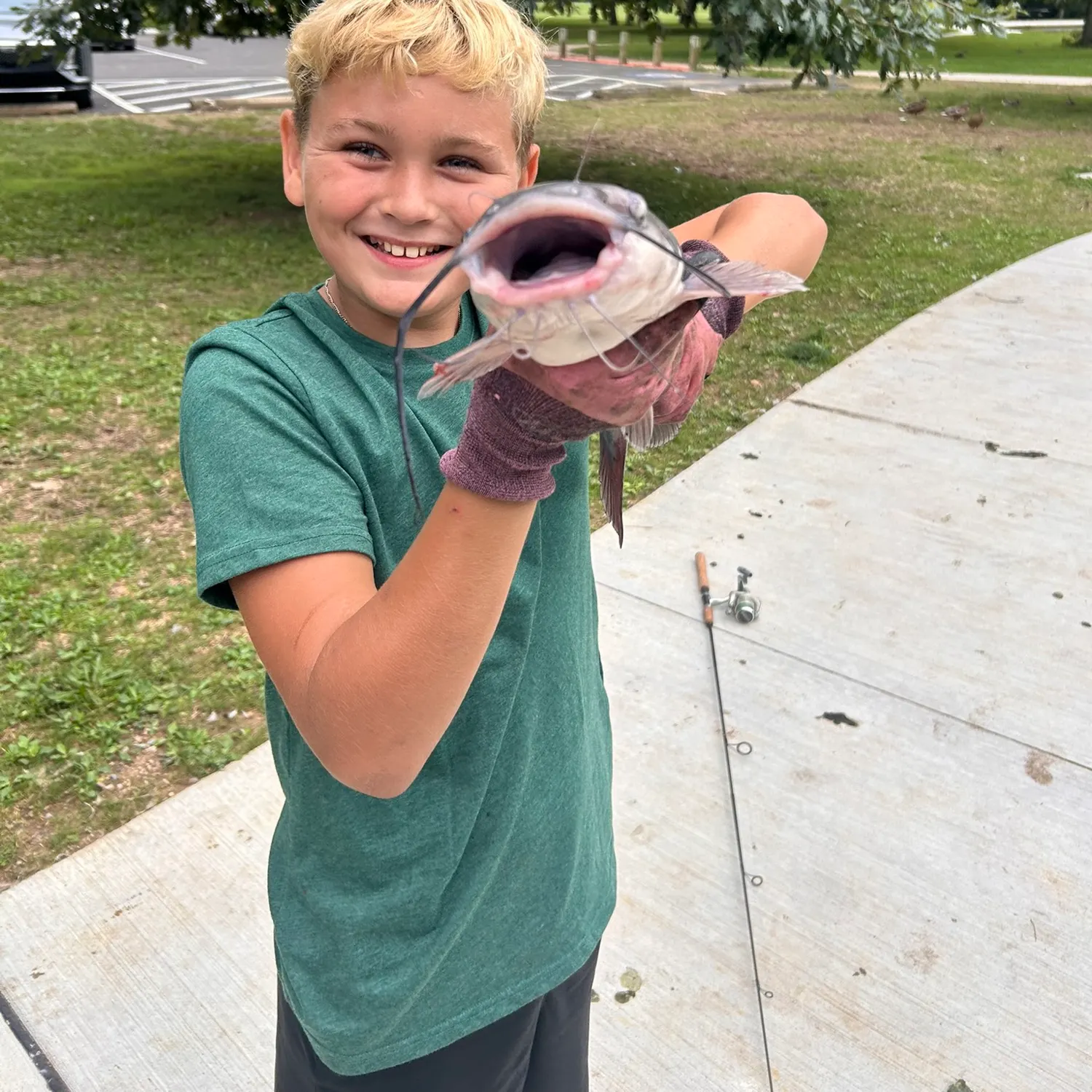Blue catfish caught on Fishbrain