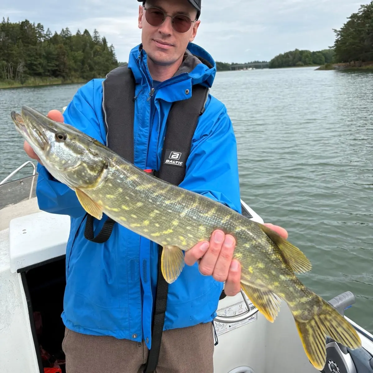 Northern pike caught on Fishbrain