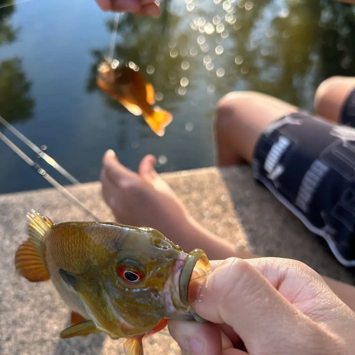 catch