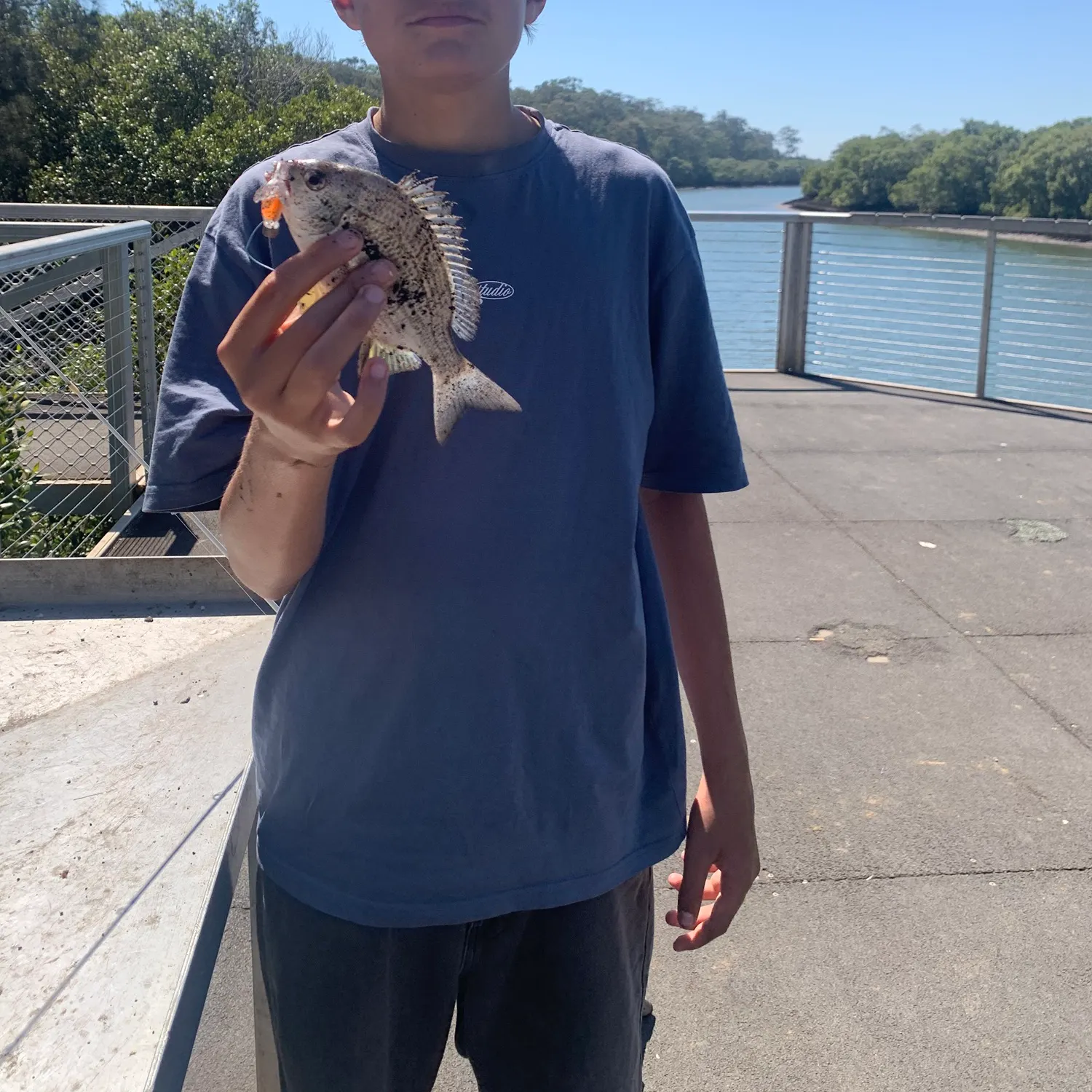 Fish caught on Fishbrain