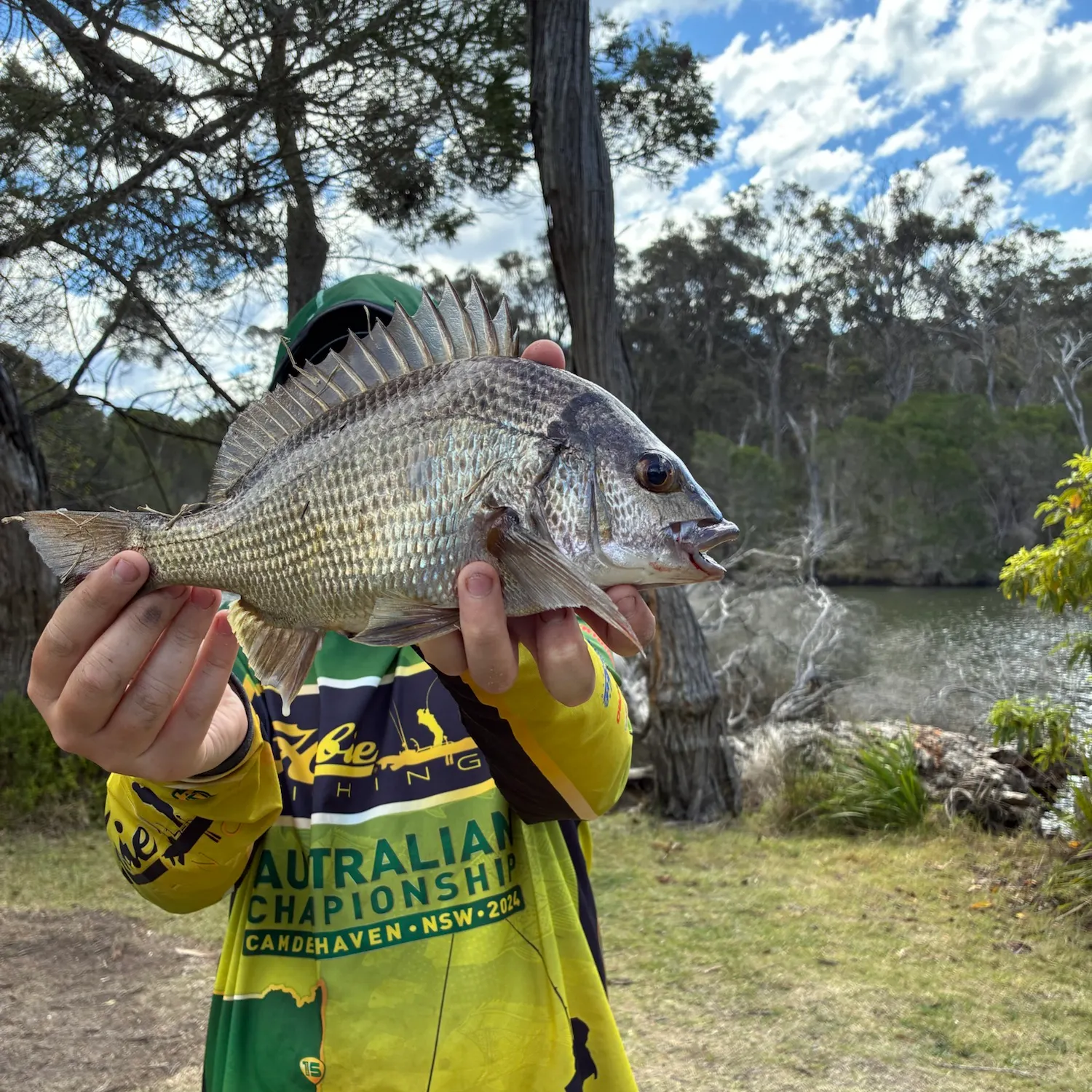 Southern black bream caught on Fishbrain