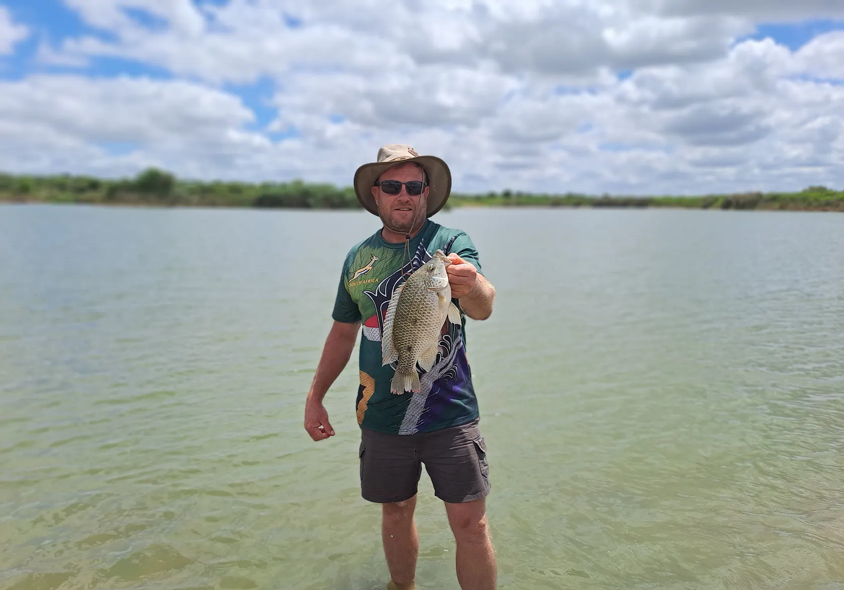 Three spotted tilapia