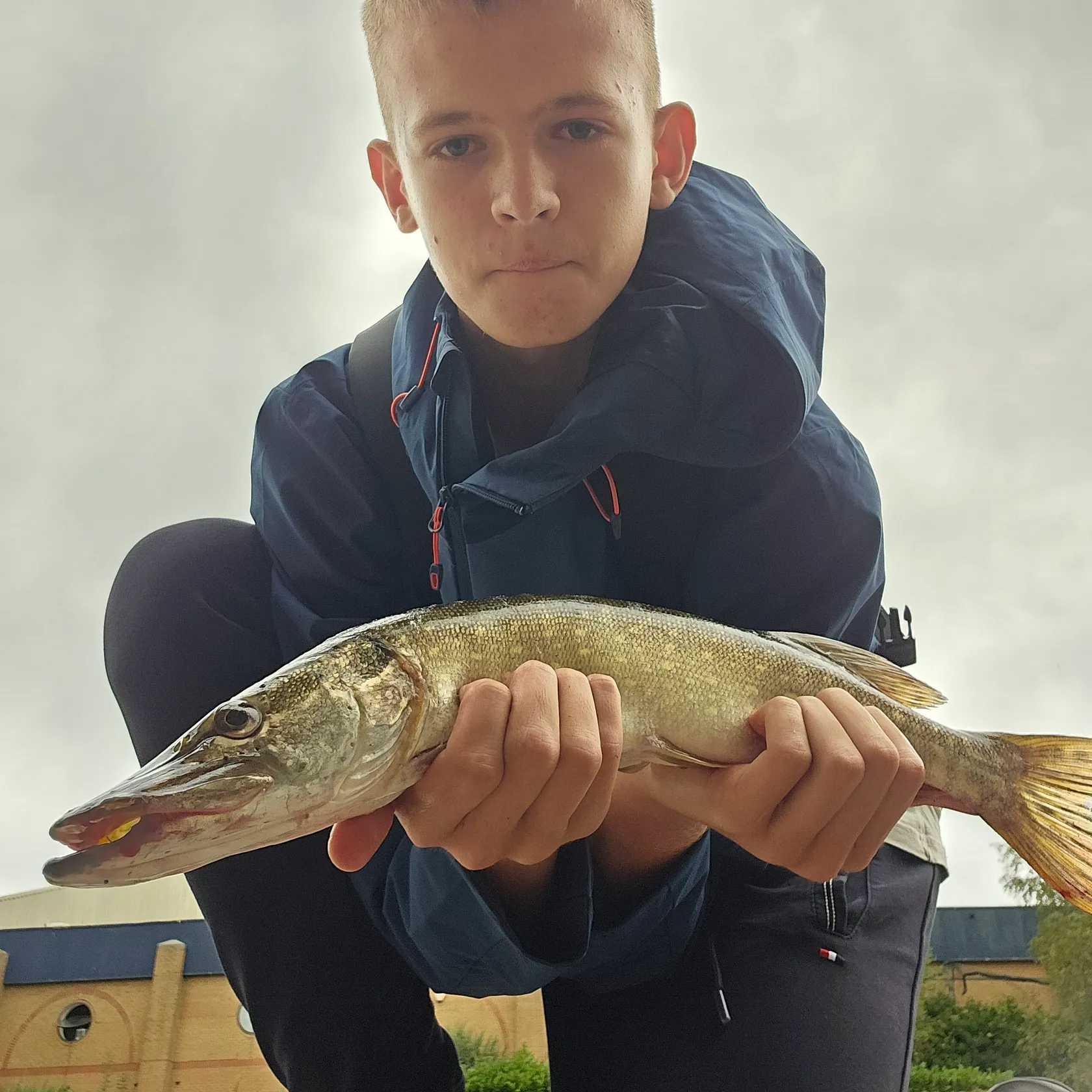 Northern pike caught on Fishbrain