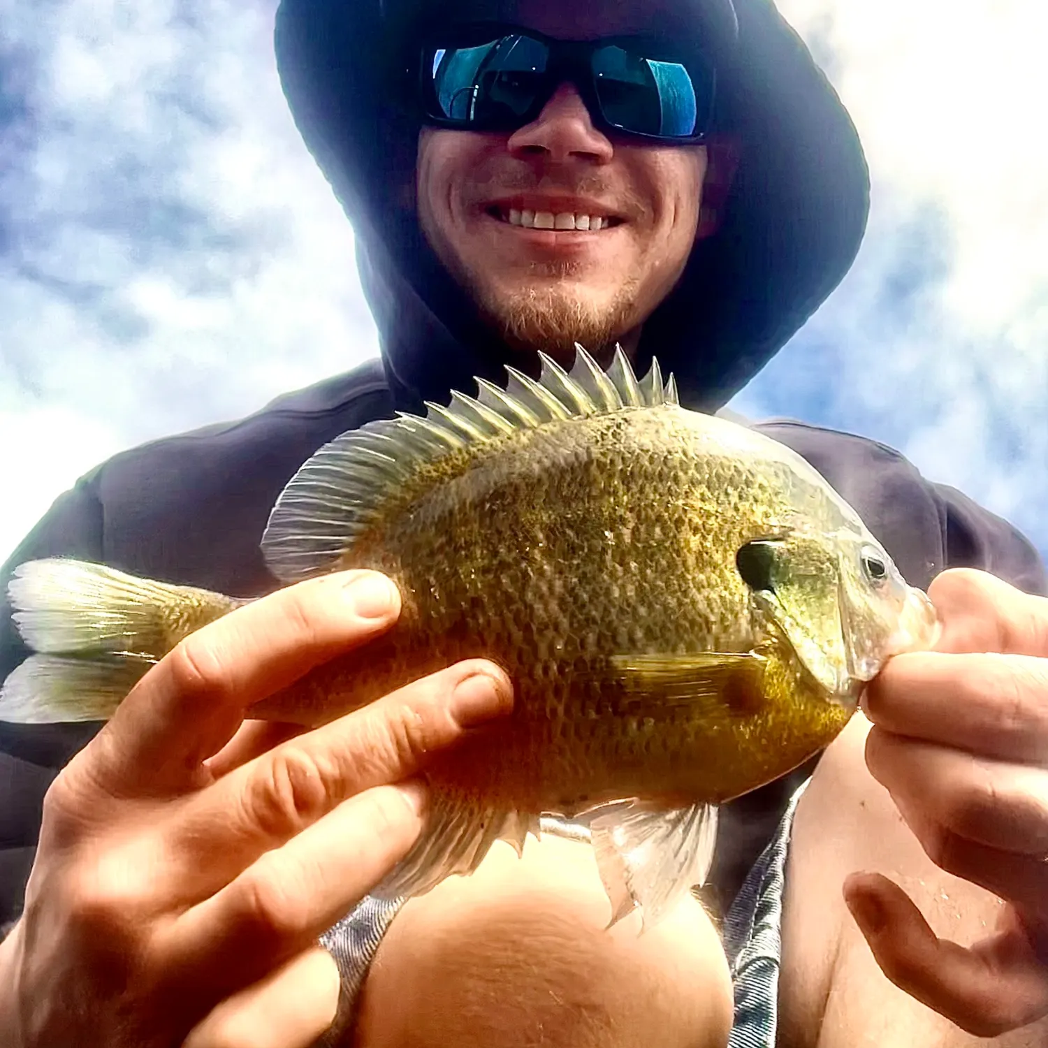 Bluegill caught on Fishbrain