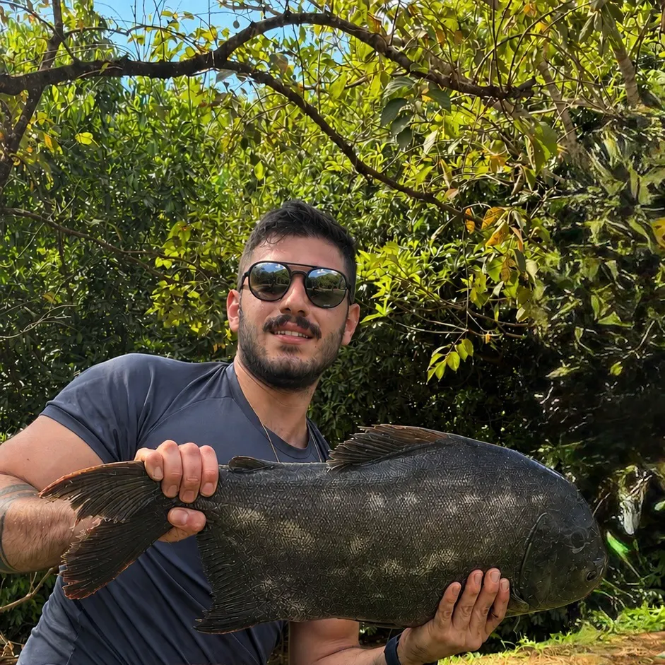 The most recent Tambacu catches on Fishbrain