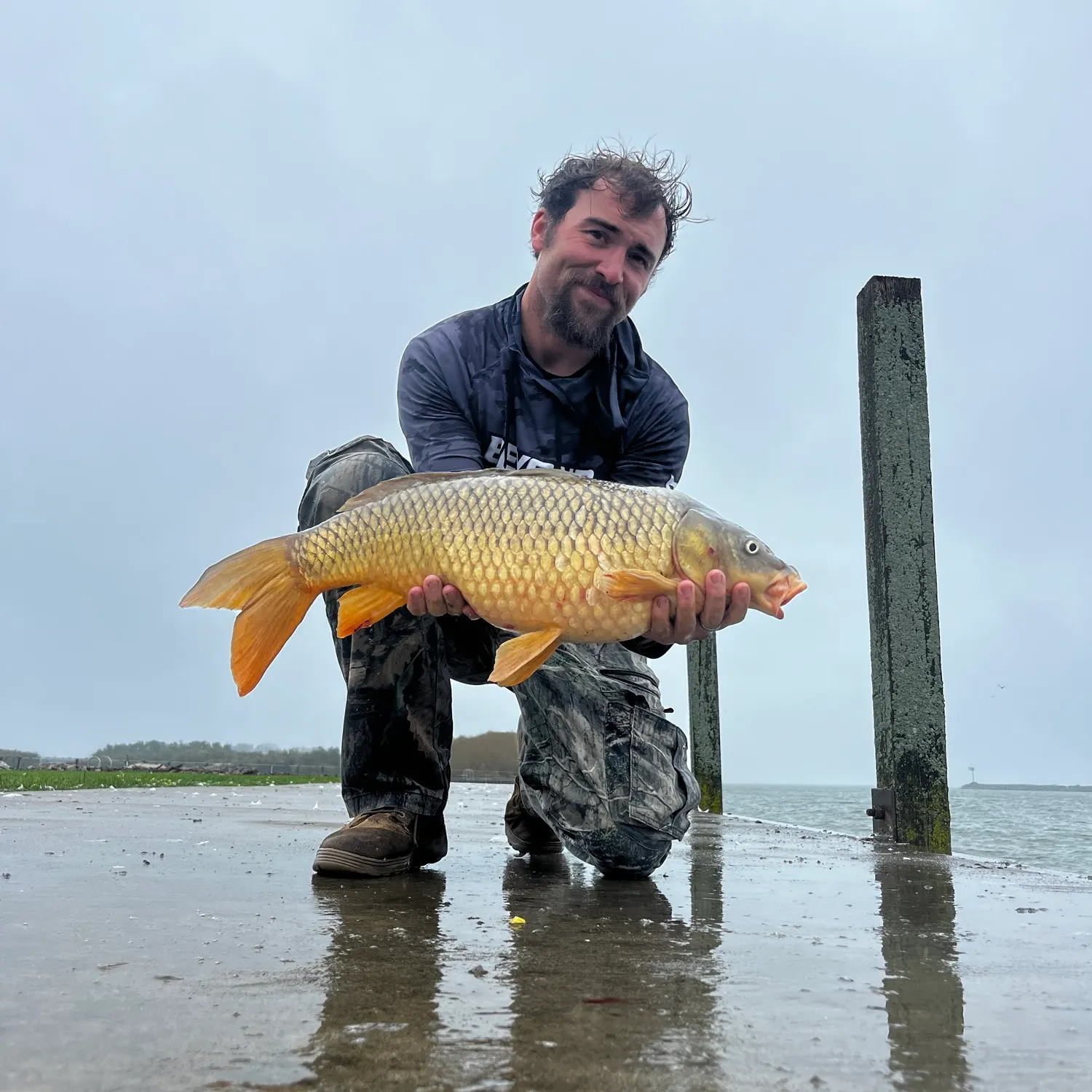 Common carp caught on Fishbrain