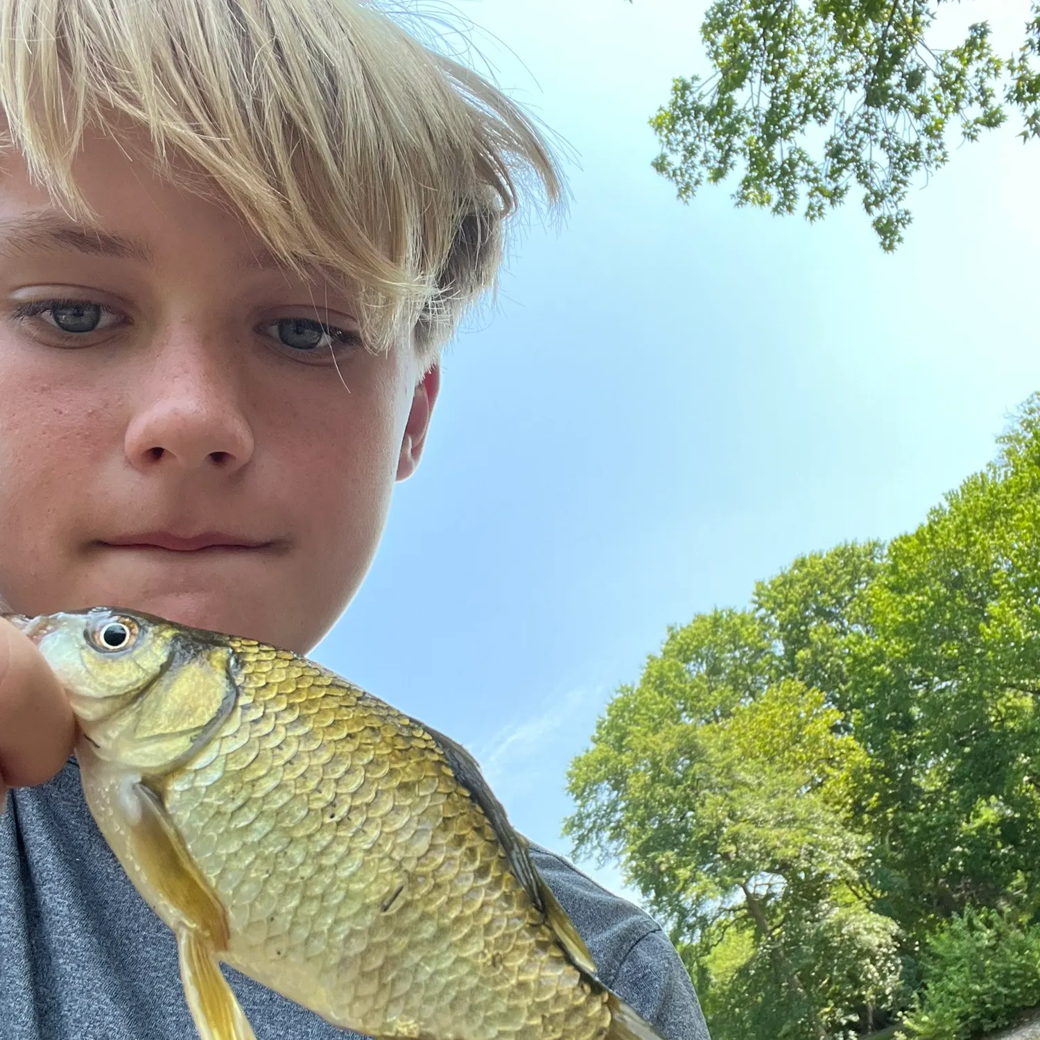 The most recent Common carp catches on Fishbrain