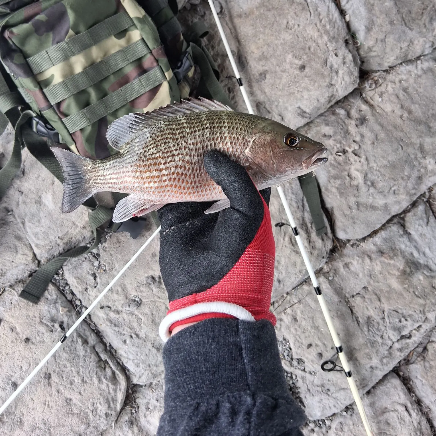 catch