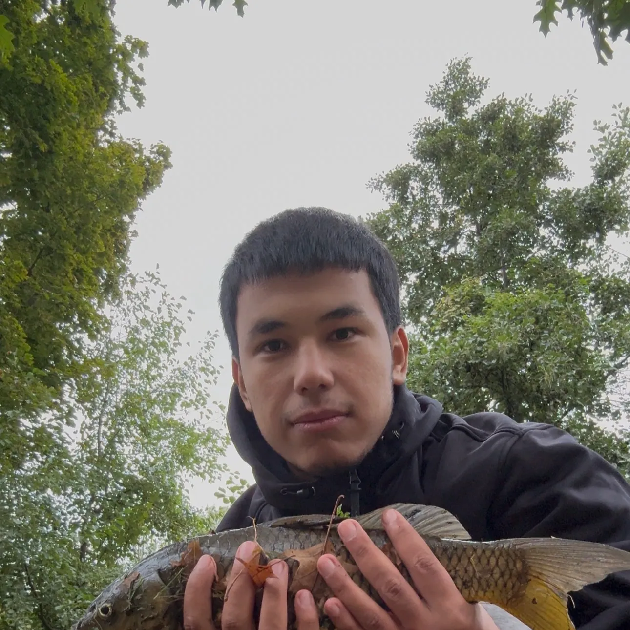 Common carp caught on Fishbrain
