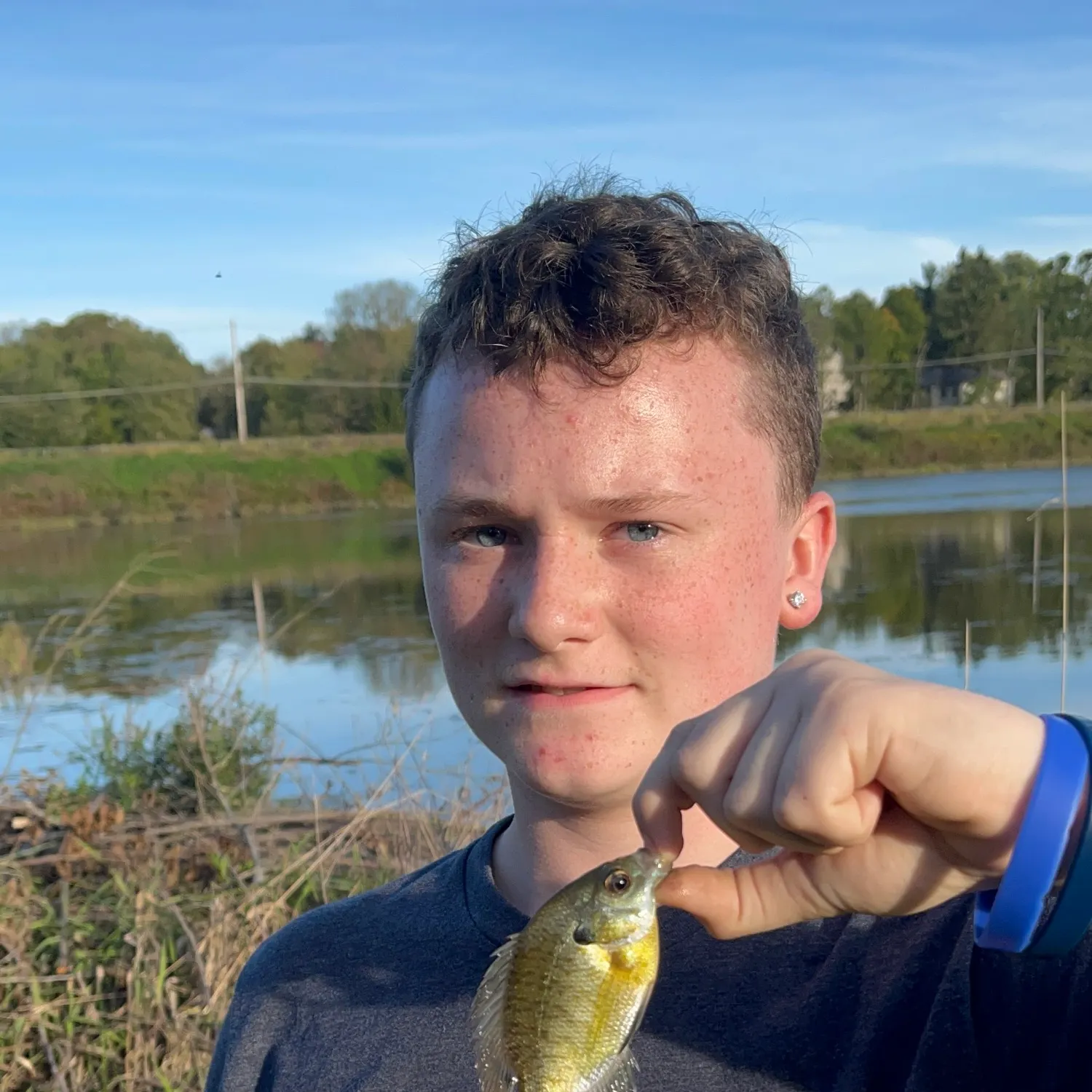 Bluegill caught on Fishbrain