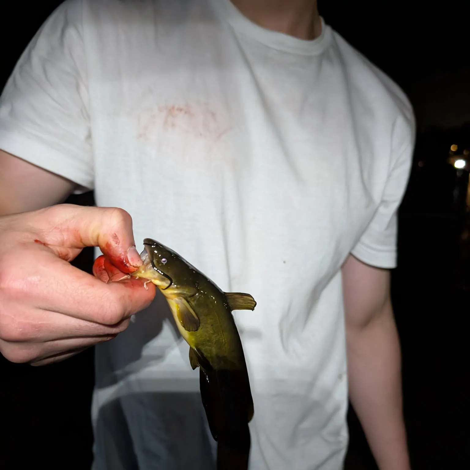 catch