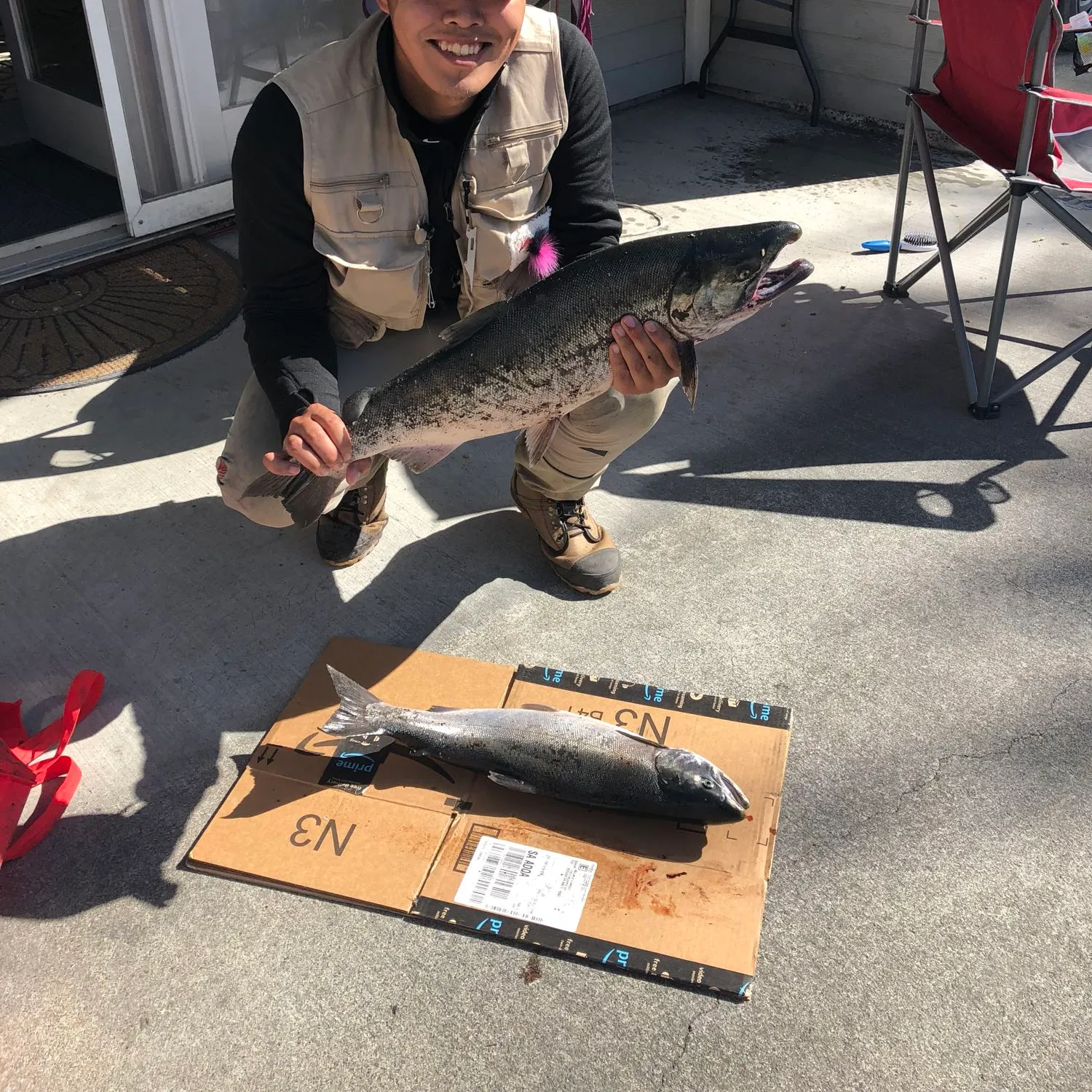 recently logged catches