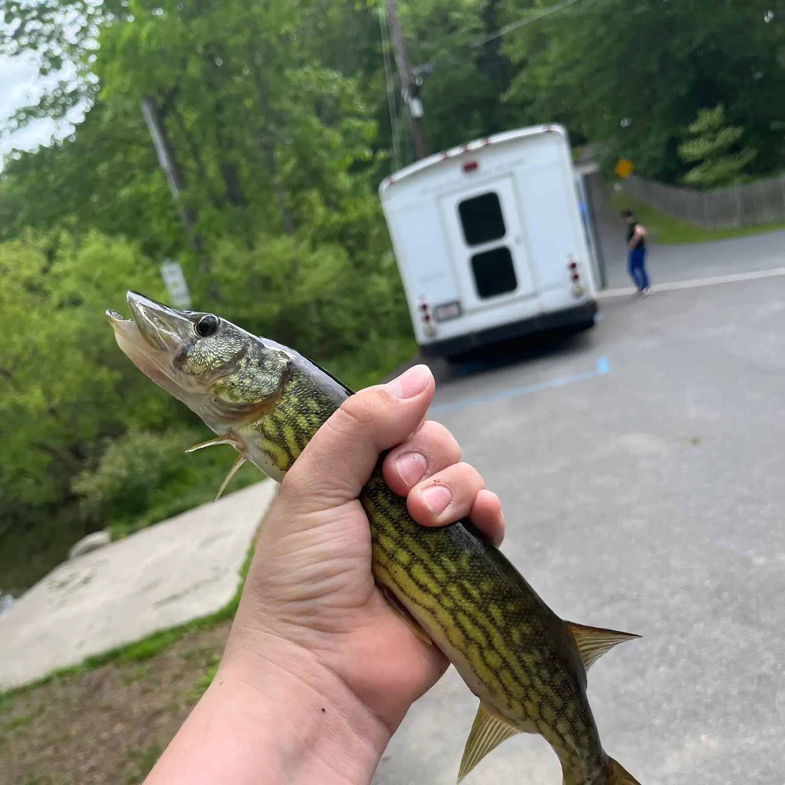 catch