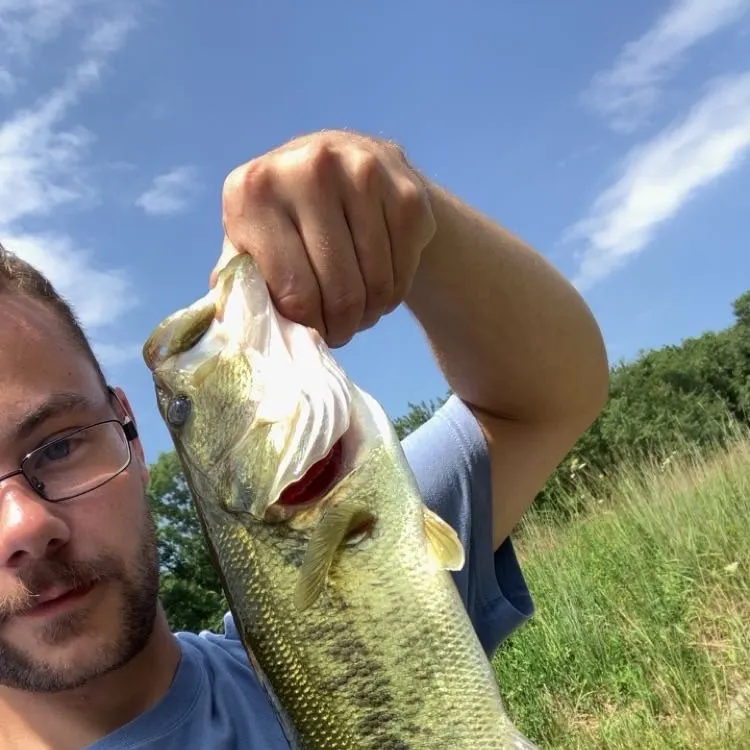 Fish caught on Fishbrain