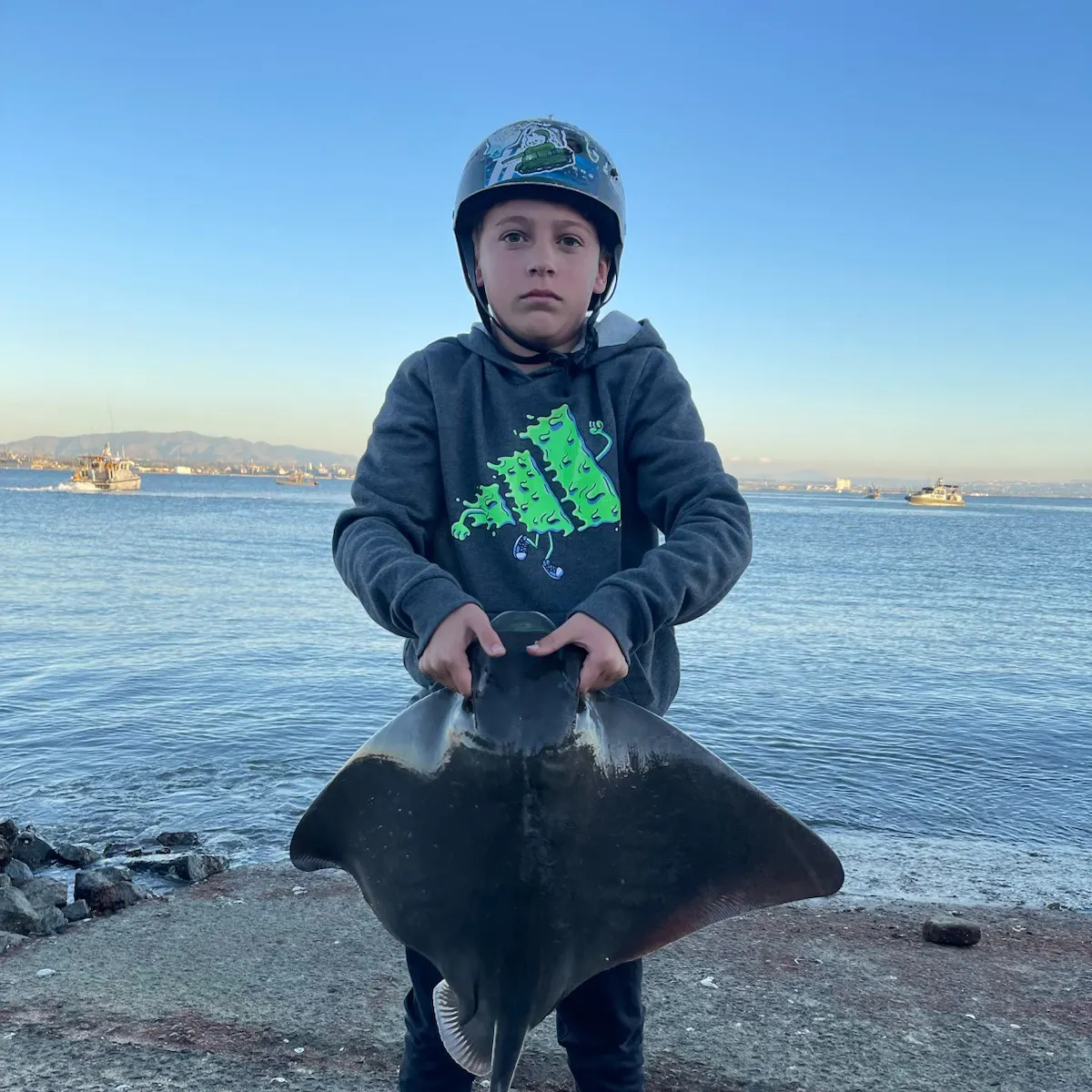 The most recent Bat eagle ray catches on Fishbrain