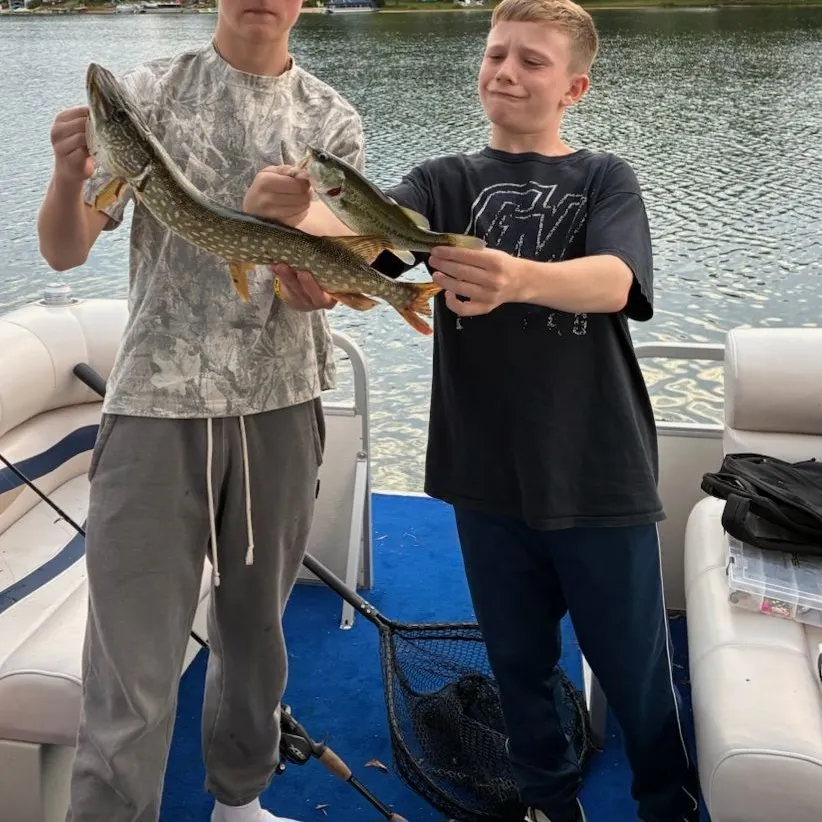 Northern pike caught on Fishbrain