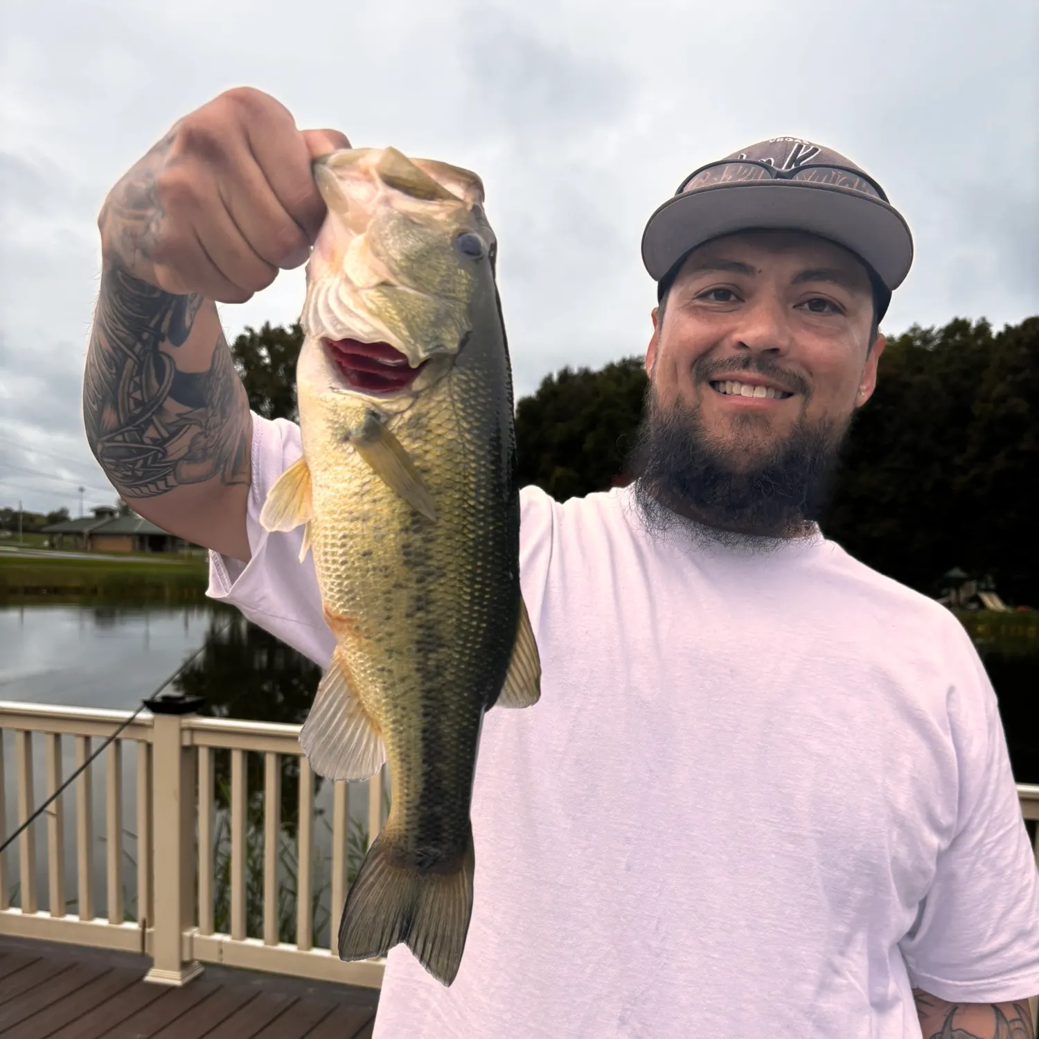 Largemouth bass caught on Fishbrain