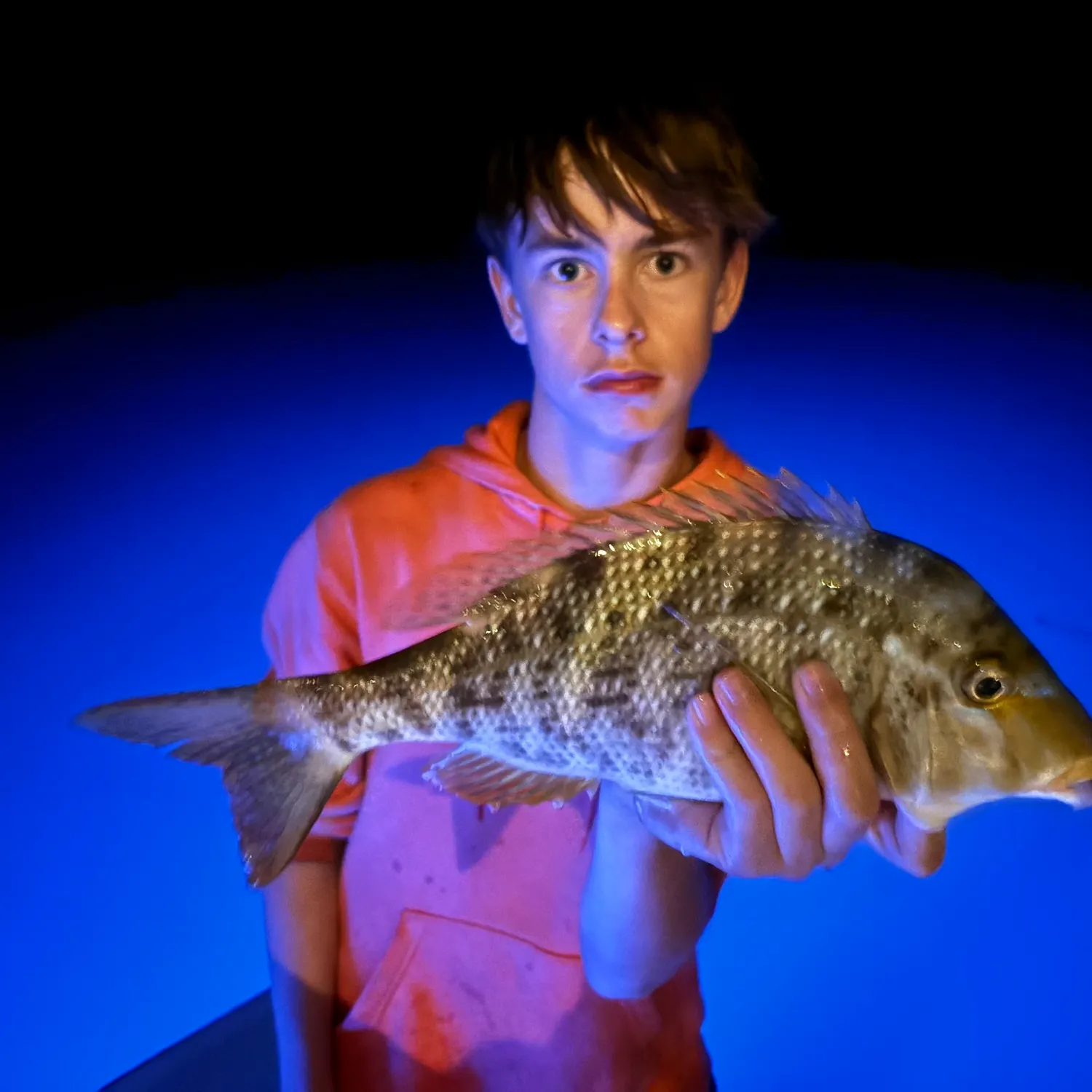 The most recent Grass emperor catches on Fishbrain