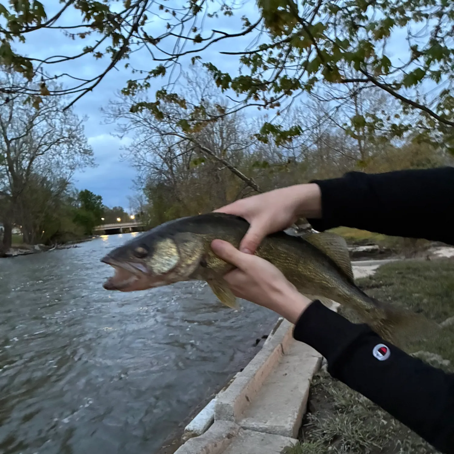 catch