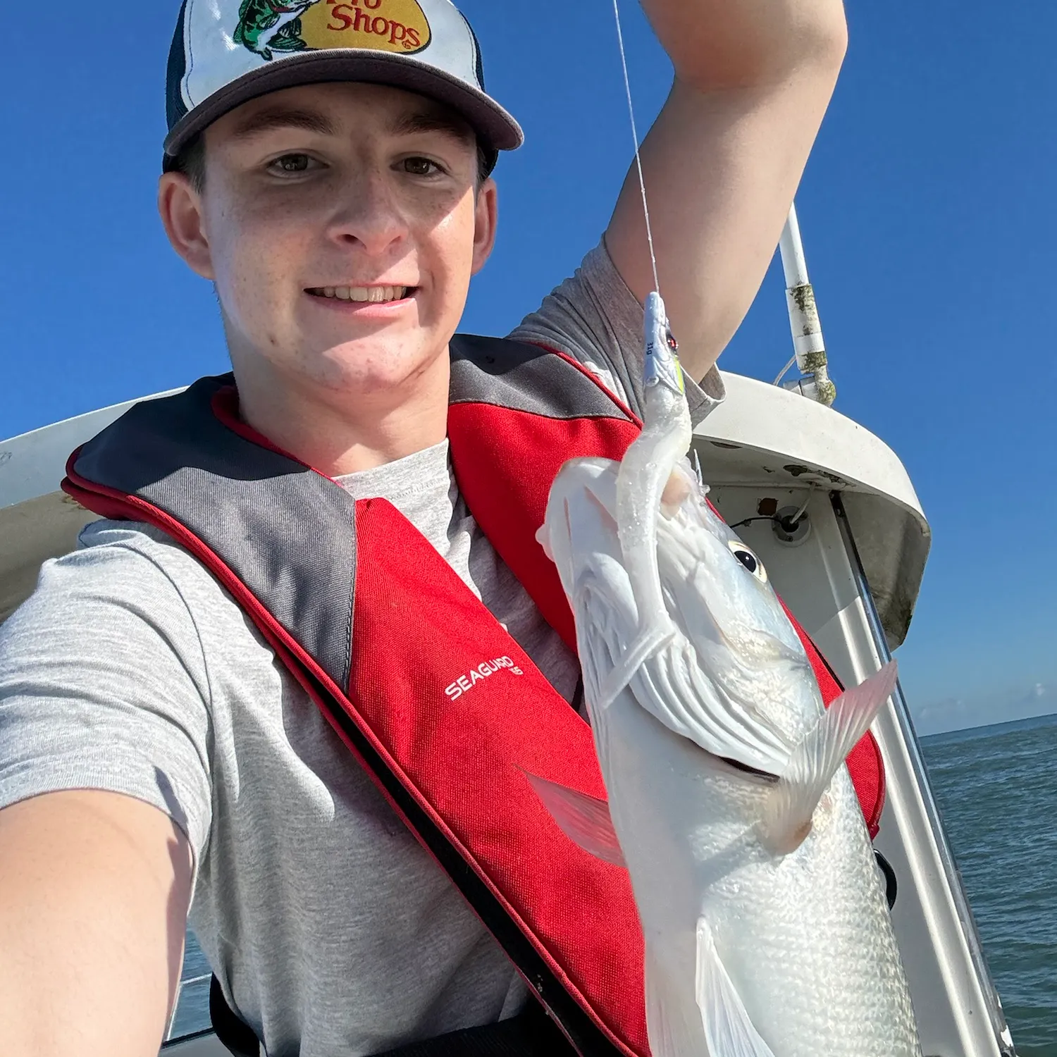 European seabass caught on Fishbrain