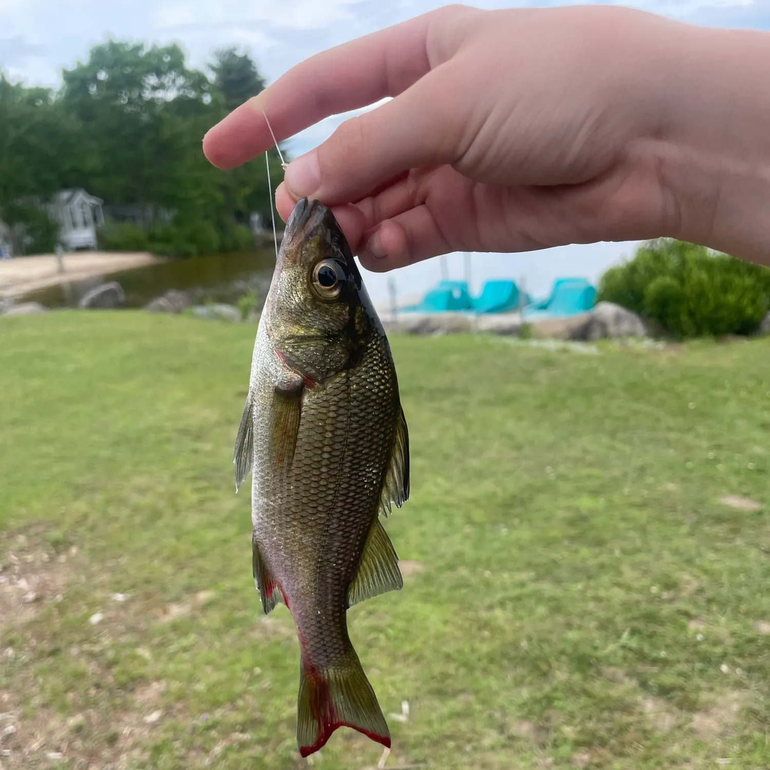 catch
