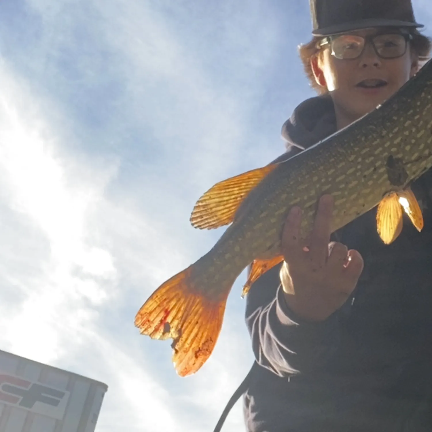 Northern pike caught on Fishbrain